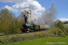 DSC_7431.jpg