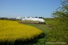 DSC_7566.JPG