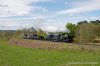 DSC_7654.JPG