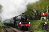 leander ropley.JPG