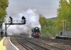 115A8518 (1).jpeg