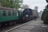 DSC_0233r.jpg
