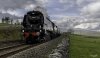 Northern Belle 10 2 NP.jpg