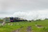 _DSC0747.jpg