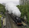 _DSC9318-Edit-2.jpg