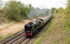 _DSC3796-Edit.jpg