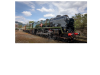 IMG_1295.png
