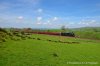 DSC_8049.JPG