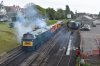 DSC_0427r.jpg
