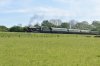 DSC_0380r.jpg