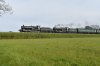 DSC_0403r.jpg