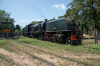 20230309-DSC_1382.png
