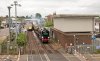 006-35028-11.02-Victoria-Dover-Priory-at-Rainham-30May-2024.jpg
