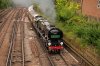 020-35028-on-13.40-Dover-Priory-at-Bickley-Junction-13June-2024.jpg