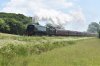 DSC_0613r.jpg
