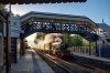 5043 Albrighton lr.jpg