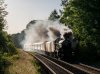 _24Z2652 5043 Albrighton 220624.jpg
