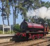 ma-wd holt 26062024.jpg