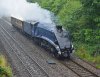 60007-Sir-Nigel-Gresley in very heavy rain near-Cogload Junction-en-route-to-Bishops-Lydeard.jpg