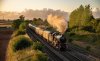 7029 4 lr.jpg