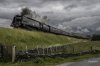 Waverley 1 NP.jpg