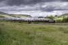 Waverley 2 NP.jpg