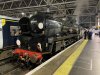 IMG_8994.jpeg