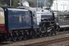 Peppercorn A2 Pacific 60532 'BLUE PETER' on 1Z32, Huntingdon, July 13th 2024 e.jpg