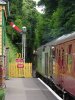 DSC00460.jpg
