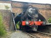 IMG_6404.jpeg