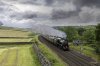 Pendle 5 NP.jpg