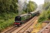 014-34072-Groombridge-Jctn-14.20-Eridge-20July-2024.jpg