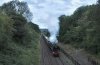 115A9880 (1).jpeg