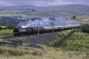 Northern Belle 34067 1 NP.jpg