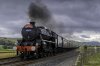Waverley 44871 1 NP.jpg