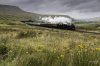 Waverley 44871 2 NP.jpg