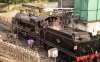 001-31806-on-shed-Swanage-3Aug-2024.jpg