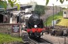 004-31806-on-shed-Swanage-3Aug-2024.jpg
