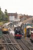 019-31806-Swanage-09.50-to-Norden-next-to-D6528-3Aug-2024.jpg