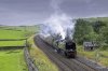 Dalesman 34067 2 NP.jpg