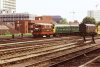 R6108.JPG