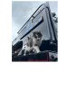 IMG_0212.jpeg