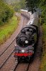 013-80154-Leamland-Wood-Bridge-on-10.45-EG-SP-24Aug-2024.jpg