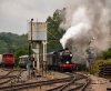 032-32424-arr-Horsted-Keynes-on-17.00-SP-EG-24Aug-2024.jpg