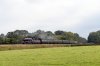 _DSC1604.jpg