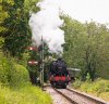 018-31806-arriving-at-Tenterden-on-12.07-from-Bodiam-1June-2024.jpg