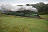 DSC_0953r.jpg