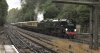 115A9936 (1).jpeg
