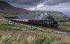 Northern Belle 34067 2 NP.jpg