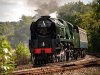 015-34053-Forge-Farm-Crossing-on-13.30-Eridge-14Sept-2024.jpg